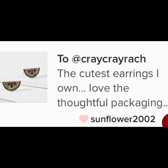 NWT Watermelon 🍉 Stud Earrings - Picture 5 of 5